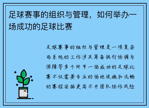足球赛事的组织与管理，如何举办一场成功的足球比赛