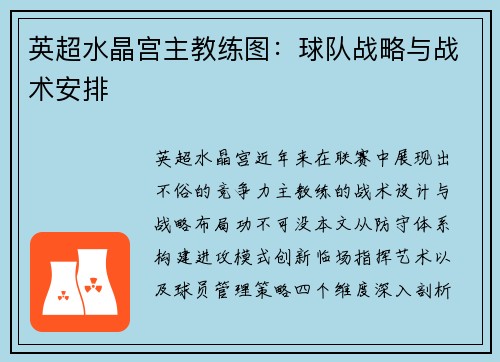 英超水晶宫主教练图：球队战略与战术安排